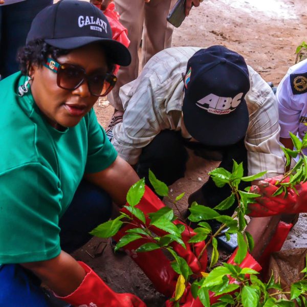 news-tree-planting