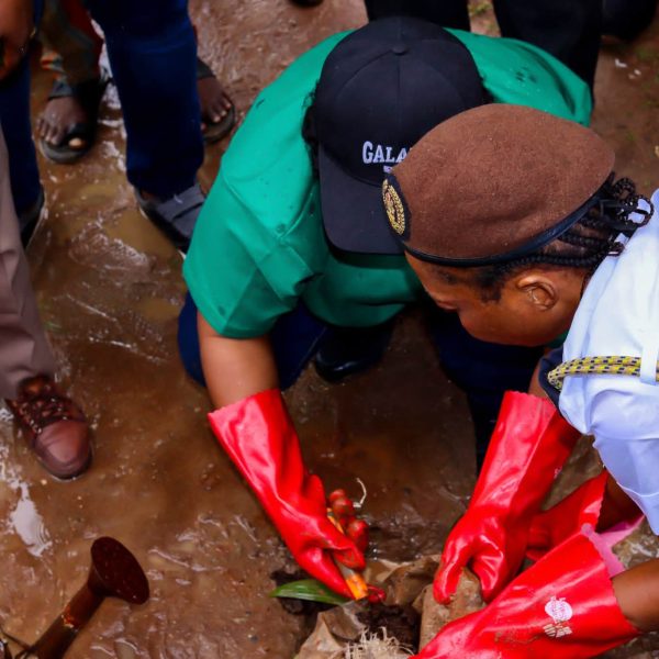 news-tree-planting2